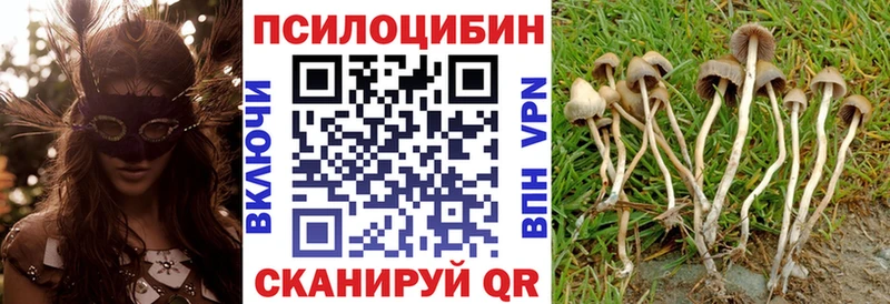 blacksprut ССЫЛКА  где продают   Полесск  Псилоцибиновые грибы мухоморы 